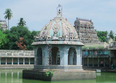 Divine Nadi Astrologer in Hyderabad
